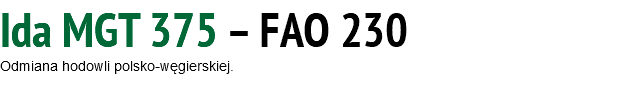 Ida MGT 375 – FAO 230 Odmiana hodowli polsko-węgierskiej.